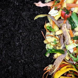 Du compost et des restes alimentaires