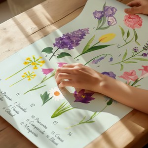 Affiche des fleurs du Printemps - Babybird
