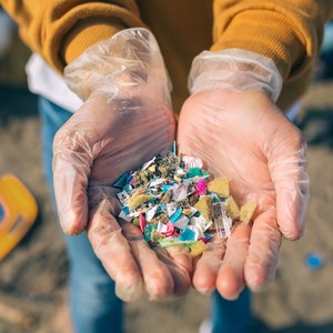 Des microplastiques ramassés lors d'une collecte de déchets 