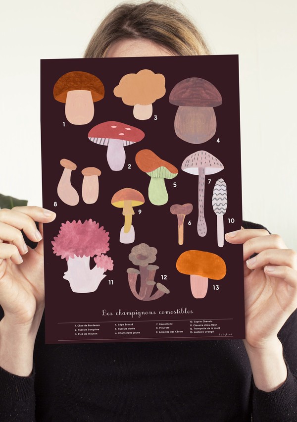 Affiche champignons Babybird