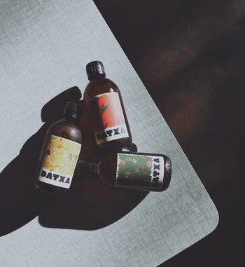 Lot de 12 bouteilles de Kombucha - DATXA Kombucha