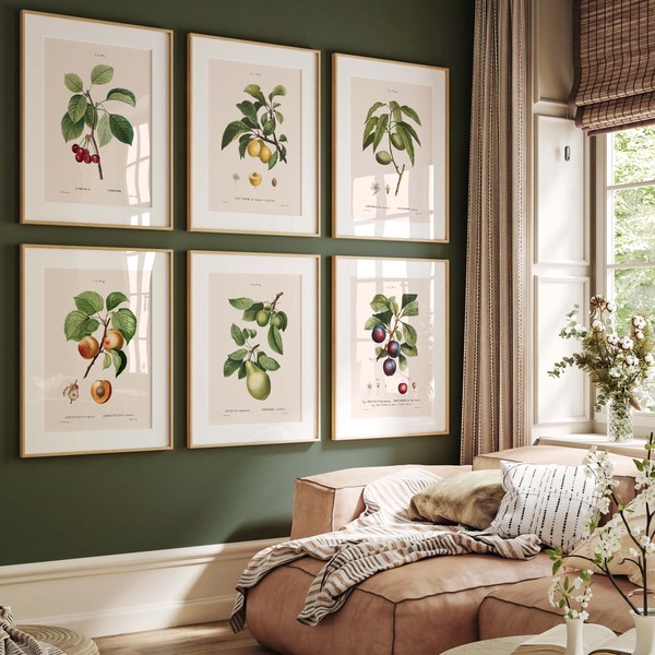 Arbustes Atelier Bigarade