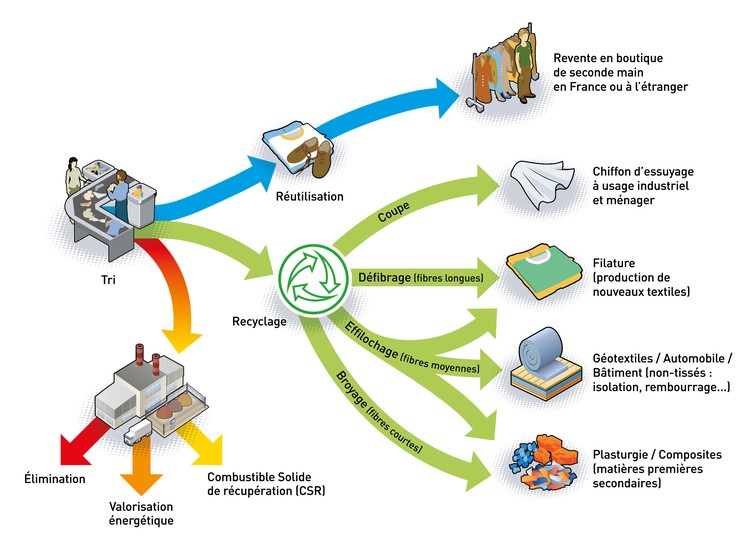 infographie Eco TLC