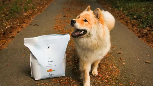 Chien avec des croquettes Japhy