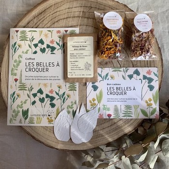 Coffret Les belles à croquer La Pousse Verte