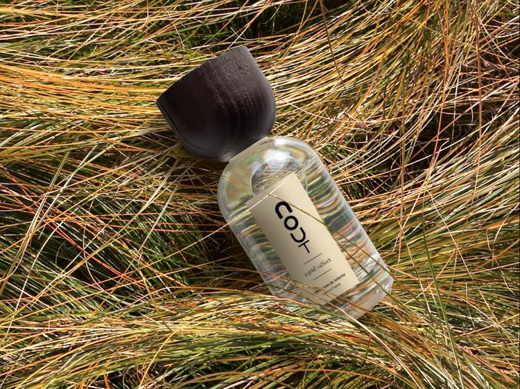 Nout parfum esprit vetiver 100ml