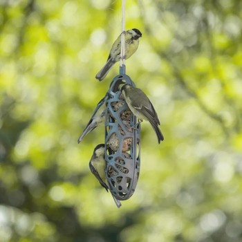 La mangeoire pour oiseaux - BIOM Paris