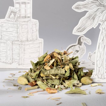 L'infusion des rêves d'Au temps des fées