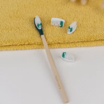 Pack 1 an – Brosse à dents en bois rechargeable – La Maline