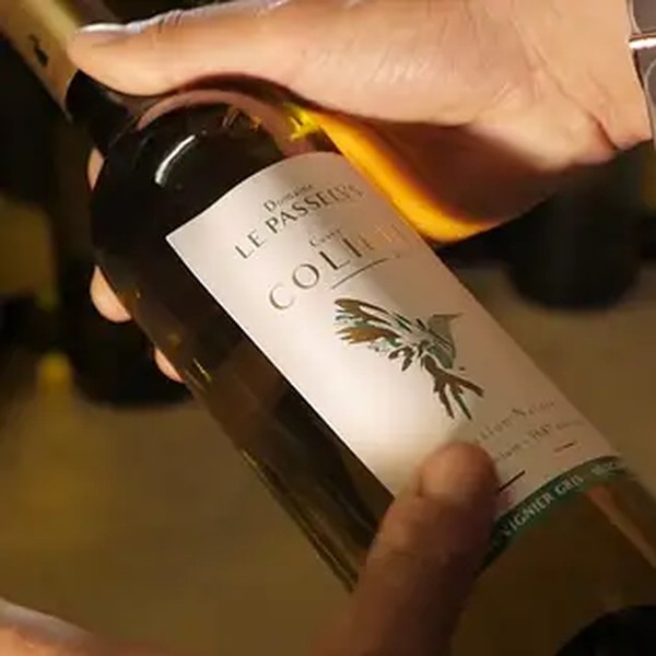 Vin Domaine Le Passelys