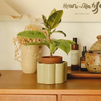 Pot autonome Vert Sauge - Pepin