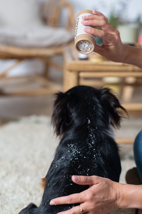 Chien noir - soin en poudre