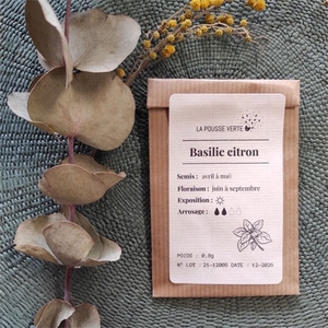 Graines de Basilic Citron