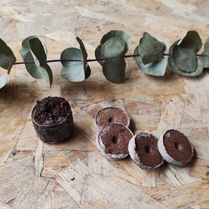 Pastilles de coco pour vos semis (par 4)