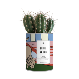 AŸ Cactus - Gueule de bois