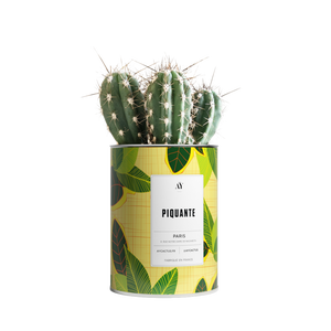 AŸ Cactus - Piquante