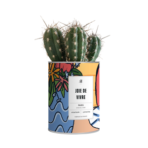 AŸ Cactus - Joie de vivre